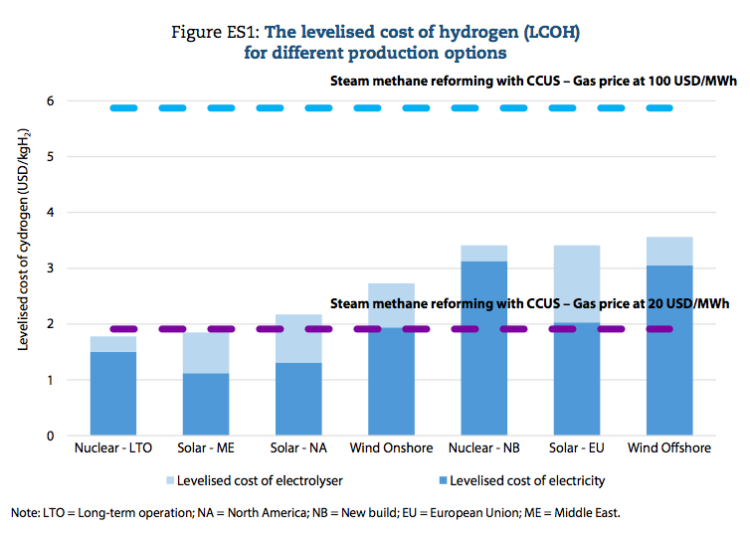 The role of nuclear power in the hydrogen economy