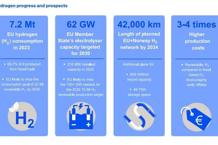 ACER-2024-MMR-Hydrogen-Markets