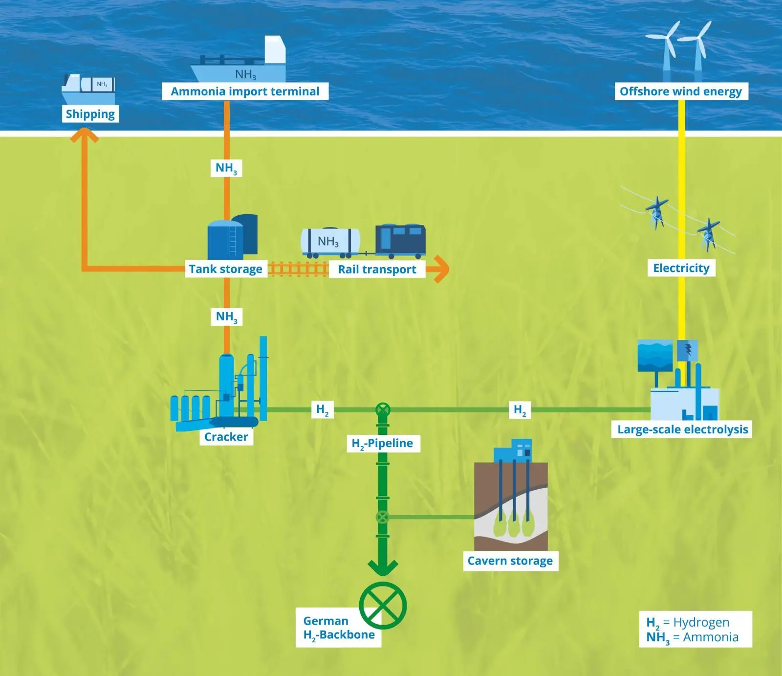 Schematic of ammonia import, cracking to hydrogen, and delivery via pipeline to the German hydrogen backbone