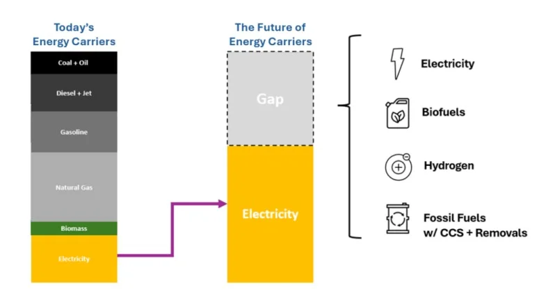 Future energy carrier mix | Global Hydrogen Hub Hydrogen economy chart showing electricity, biofuels, hydrogen and fossil fuels with carbon capture in a future energy system